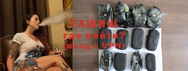 индика Арсеньев