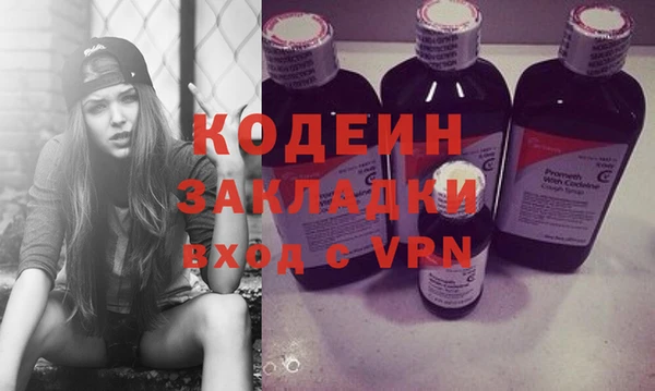 индика Арсеньев