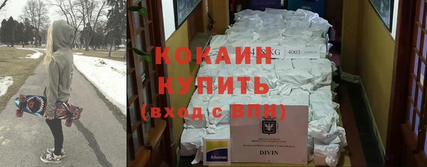 индика Арсеньев