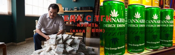 индика Арсеньев